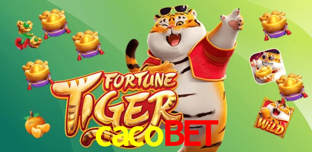 Experiência VIP cacobet